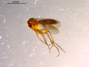 ( - 10PROBE-14145)  @12 [ ] CreativeCommons - Attribution (2011) CBG Photography Group Centre for Biodiversity Genomics