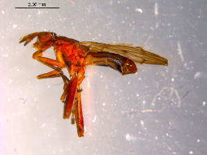  ( - 10PROBE-14345)  @12 [ ] CreativeCommons - Attribution (2011) CBG Photography Group Centre for Biodiversity Genomics