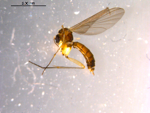  ( - 10PROBE-14407)  @12 [ ] CreativeCommons - Attribution (2011) CBG Photography Group Centre for Biodiversity Genomics