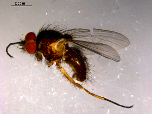  ( - 10PROBE-14461)  @12 [ ] CreativeCommons - Attribution (2011) CBG Photography Group Centre for Biodiversity Genomics