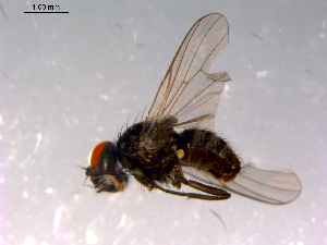  ( - 10PROBE-14751)  @13 [ ] CreativeCommons - Attribution (2011) CBG Photography Group Centre for Biodiversity Genomics