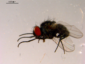  ( - 10PROBE-15307)  @12 [ ] CreativeCommons - Attribution (2011) CBG Photography Group Centre for Biodiversity Genomics