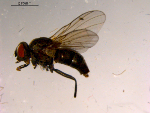  ( - 10PROBE-15348)  @13 [ ] CreativeCommons - Attribution (2011) CBG Photography Group Centre for Biodiversity Genomics