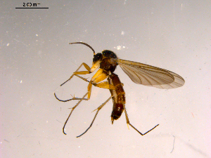  ( - 10PROBE-15416)  @13 [ ] CreativeCommons - Attribution (2011) CBG Photography Group Centre for Biodiversity Genomics
