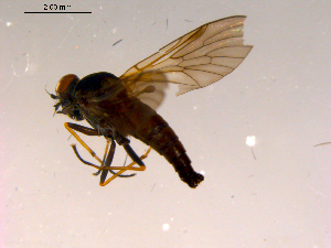  ( - 10PROBE-15466)  @12 [ ] CreativeCommons - Attribution (2011) CBG Photography Group Centre for Biodiversity Genomics