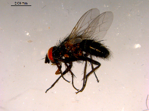  ( - 10PROBE-16574)  @12 [ ] CreativeCommons - Attribution (2011) CBG Photography Group Centre for Biodiversity Genomics