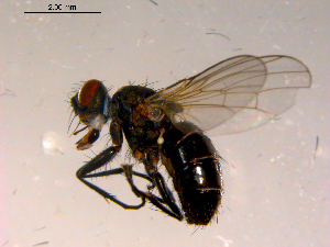  ( - 10PROBE-16653)  @12 [ ] CreativeCommons - Attribution (2011) CBG Photography Group Centre for Biodiversity Genomics