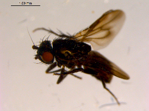  ( - 10PROBE-16844)  @12 [ ] CreativeCommons - Attribution (2011) CBG Photography Group Centre for Biodiversity Genomics