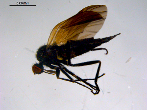  ( - 10PROBE-11373)  @12 [ ] CreativeCommons - Attribution (2011) CBG Photography Group Centre for Biodiversity Genomics