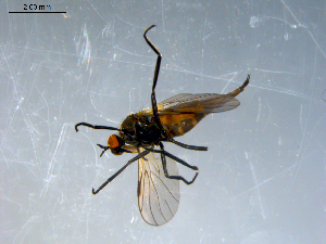  ( - 10PROBE-07901)  @13 [ ] CreativeCommons - Attribution (2011) CBG Photography Group Centre for Biodiversity Genomics