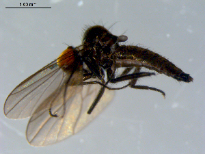  ( - 10PROBE-08431)  @13 [ ] CreativeCommons - Attribution (2011) CBG Photography Group Centre for Biodiversity Genomics