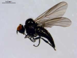  ( - 10PROBE-08632)  @13 [ ] CreativeCommons - Attribution (2011) CBG Photography Group Centre for Biodiversity Genomics
