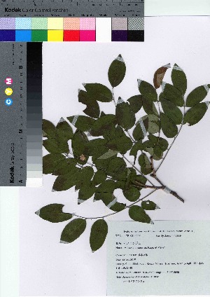  ( - HRS092)  @11 [ ] Copyright (2021) Unspecified Forestry and Forest Products Research Institute