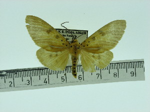  ( - ZWIER DNA 0086)  @11 [ ] Copyright (2010) Jaap Zwier Research Collection of Jaap Zwier