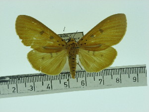  ( - ZWIER DNA 0087)  @11 [ ] Copyright (2010) Jaap Zwier Research Collection of Jaap Zwier