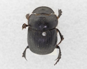  ( - CCDB-34934-B04)  @11 [ ] Unspecified (default): All Rights Reserved  Unspecified Unspecified