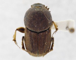  ( - CCDB-34934-B08)  @11 [ ] Unspecified (default): All Rights Reserved  Unspecified Unspecified