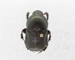  ( - CCDB-34934-C06)  @11 [ ] Unspecified (default): All Rights Reserved  Unspecified Unspecified