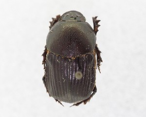  ( - CCDB-34934-C07)  @11 [ ] Unspecified (default): All Rights Reserved  Unspecified Unspecified