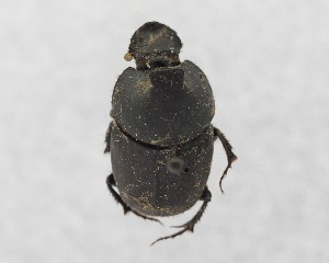  ( - CCDB-34934-D01)  @11 [ ] Unspecified (default): All Rights Reserved  Unspecified Unspecified