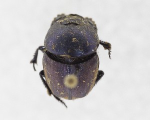  ( - CCDB-34934-D11)  @11 [ ] Unspecified (default): All Rights Reserved  Unspecified Unspecified