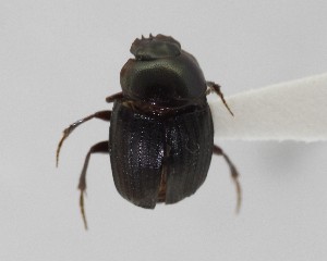  ( - CCDB-34934-E07)  @11 [ ] Unspecified (default): All Rights Reserved  Unspecified Unspecified