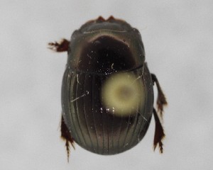  ( - CCDB-34934-E12)  @11 [ ] Unspecified (default): All Rights Reserved  Unspecified Unspecified