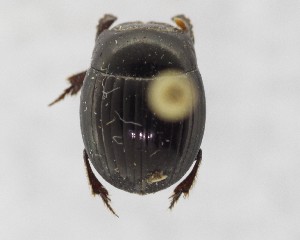  ( - CCDB-34934-F03)  @11 [ ] Unspecified (default): All Rights Reserved  Unspecified Unspecified