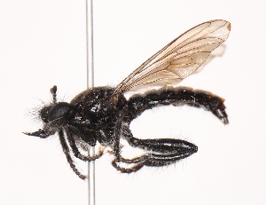  ( - KFUDip02019)  @11 [ ] Copyright (c) (2025) Heimburg H Unspecified