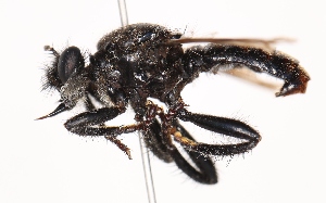  ( - KFUDip02020)  @11 [ ] Copyright (c) (2025) Heimburg H Unspecified