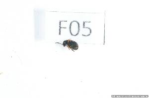  ( - 14409-CamaF05)  @11 [ ] Copyright (2012) Fabian Haas icipe