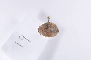  ( - BelaB07)  @12 [ ] Unspecified (default): All Rights Reserved  Unspecified icipe