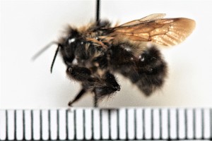  ( - SVL-2010-00024-00004)  @12 [ ] (by) (2018) Unspecified Trent University