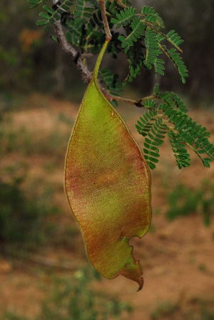  ( - OM0331)  @12 [ ] Unspecified (default): All Rights Reserved  Unspecified Unspecified