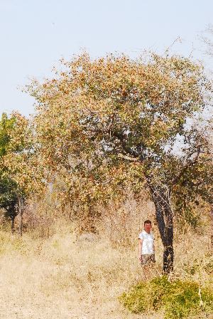  ( - OM1044)  @11 [ ] Unspecified (default): All Rights Reserved  Unspecified Unspecified
