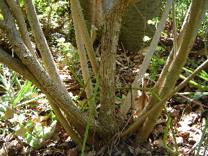  ( - CS07)  @11 [ ] Unspecified (default): All Rights Reserved  Unspecified Unspecified