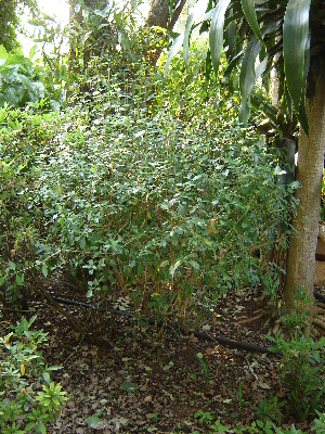  ( - CS10)  @12 [ ] Unspecified (default): All Rights Reserved  Unspecified Unspecified