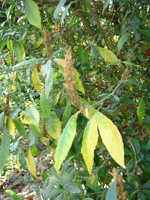  ( - CS15)  @12 [ ] Unspecified (default): All Rights Reserved  Unspecified Unspecified