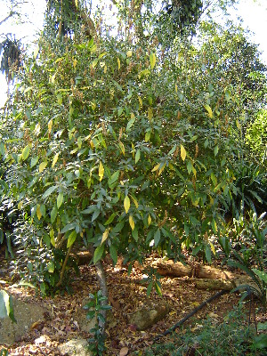  ( - CS15)  @11 [ ] Unspecified (default): All Rights Reserved  Unspecified Unspecified
