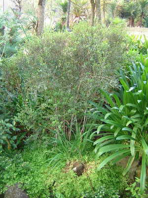  ( - CS23)  @11 [ ] Unspecified (default): All Rights Reserved  Unspecified Unspecified