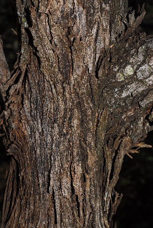  ( - OM0269)  @11 [ ] Unspecified (default): All Rights Reserved  Unspecified Unspecified