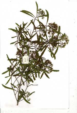  ( - OM1199)  @11 [ ] Copyright  Unspecified Unspecified