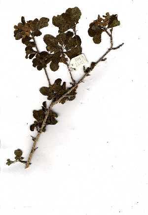  ( - OM1202)  @11 [ ] Unspecified (default): All Rights Reserved  Unspecified Unspecified