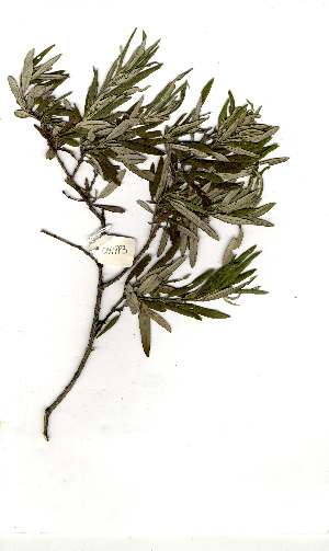  ( - OM1783)  @11 [ ] Unspecified (default): All Rights Reserved  Unspecified Unspecified