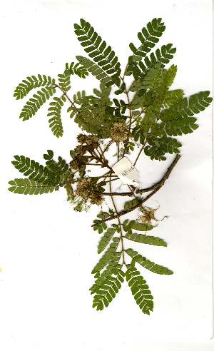  ( - OM1811)  @11 [ ] Unspecified (default): All Rights Reserved  Unspecified Unspecified