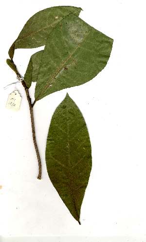  ( - OM1830)  @11 [ ] Unspecified (default): All Rights Reserved  Unspecified Unspecified