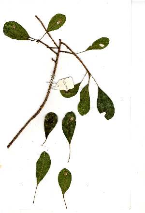  ( - OM1850)  @11 [ ] Unspecified (default): All Rights Reserved  Unspecified Unspecified