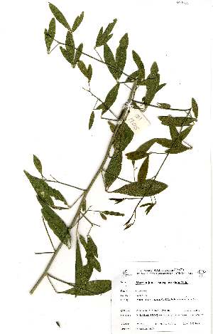  ( - OM1905)  @11 [ ] No Rights Reserved  Unspecified Unspecified