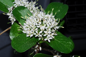  ( - RBN362)  @11 [ ] Unspecified (default): All Rights Reserved  Unspecified Unspecified