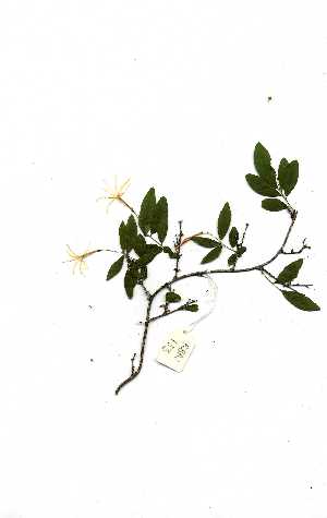  ( - RBN133)  @11 [ ] Unspecified (default): All Rights Reserved  Unspecified Unspecified